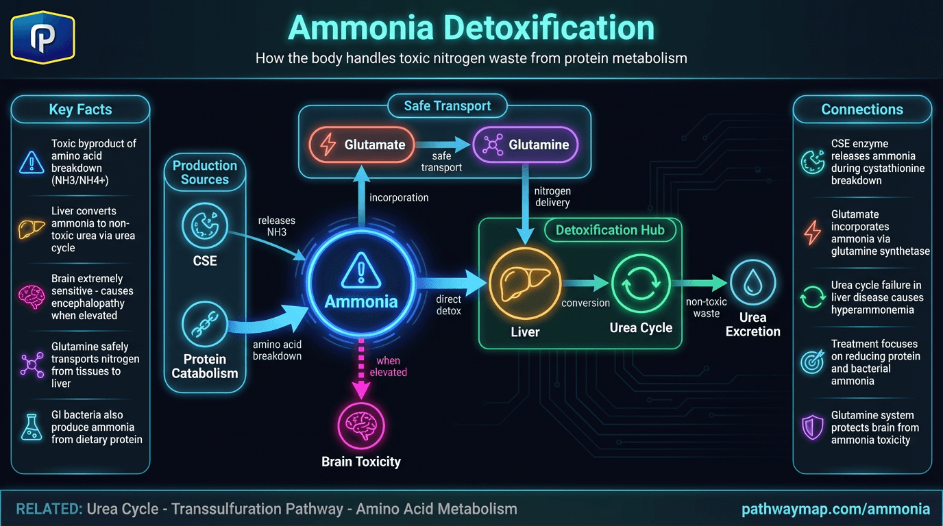 Ammonia
