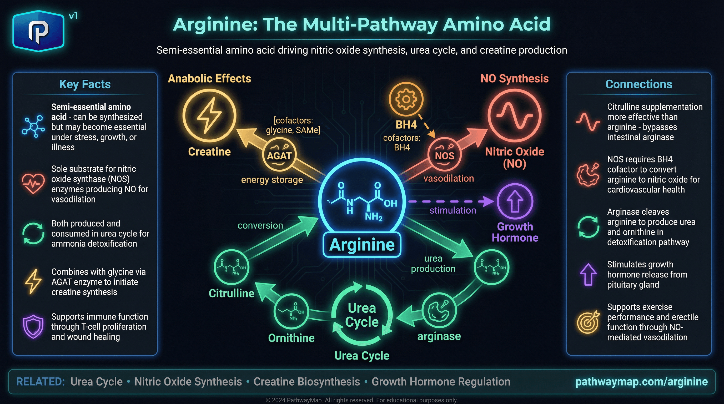 Arginine