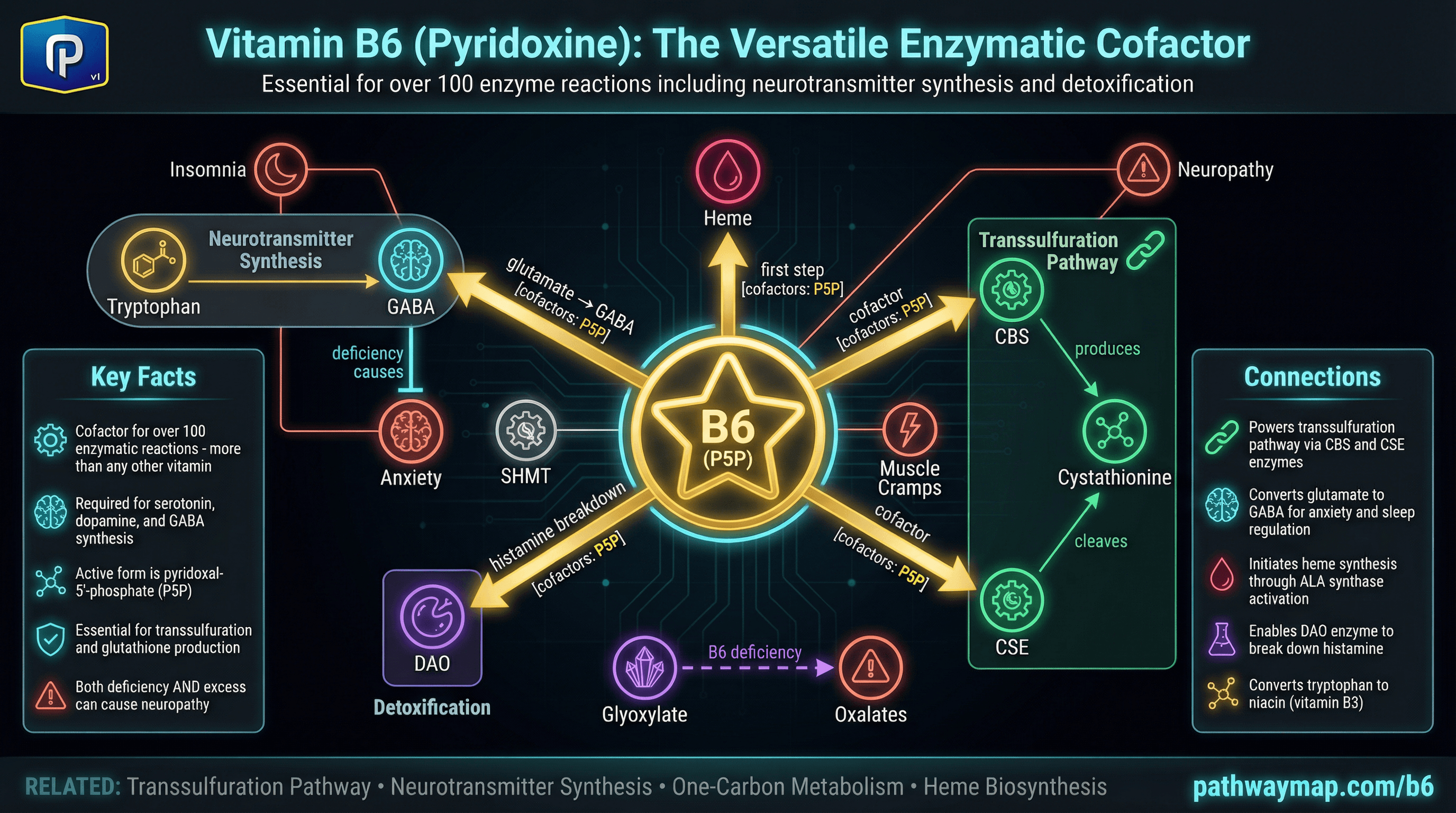 Vitamin B6 pathway diagram