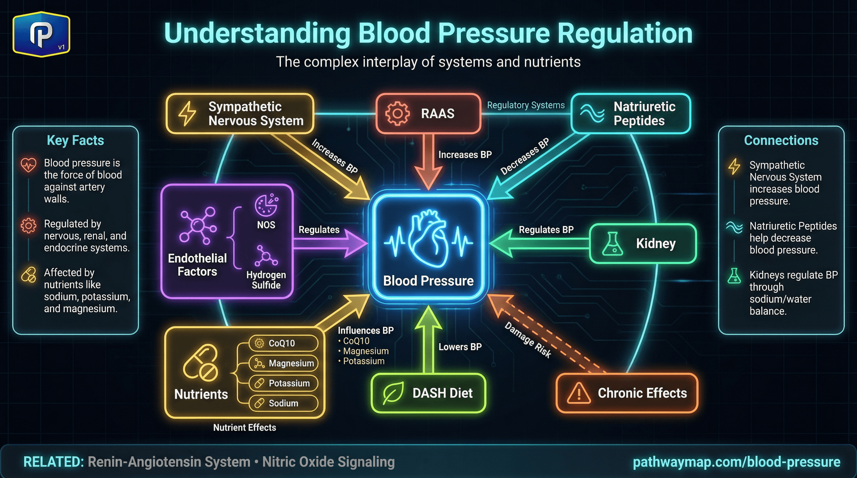 Blood Pressure