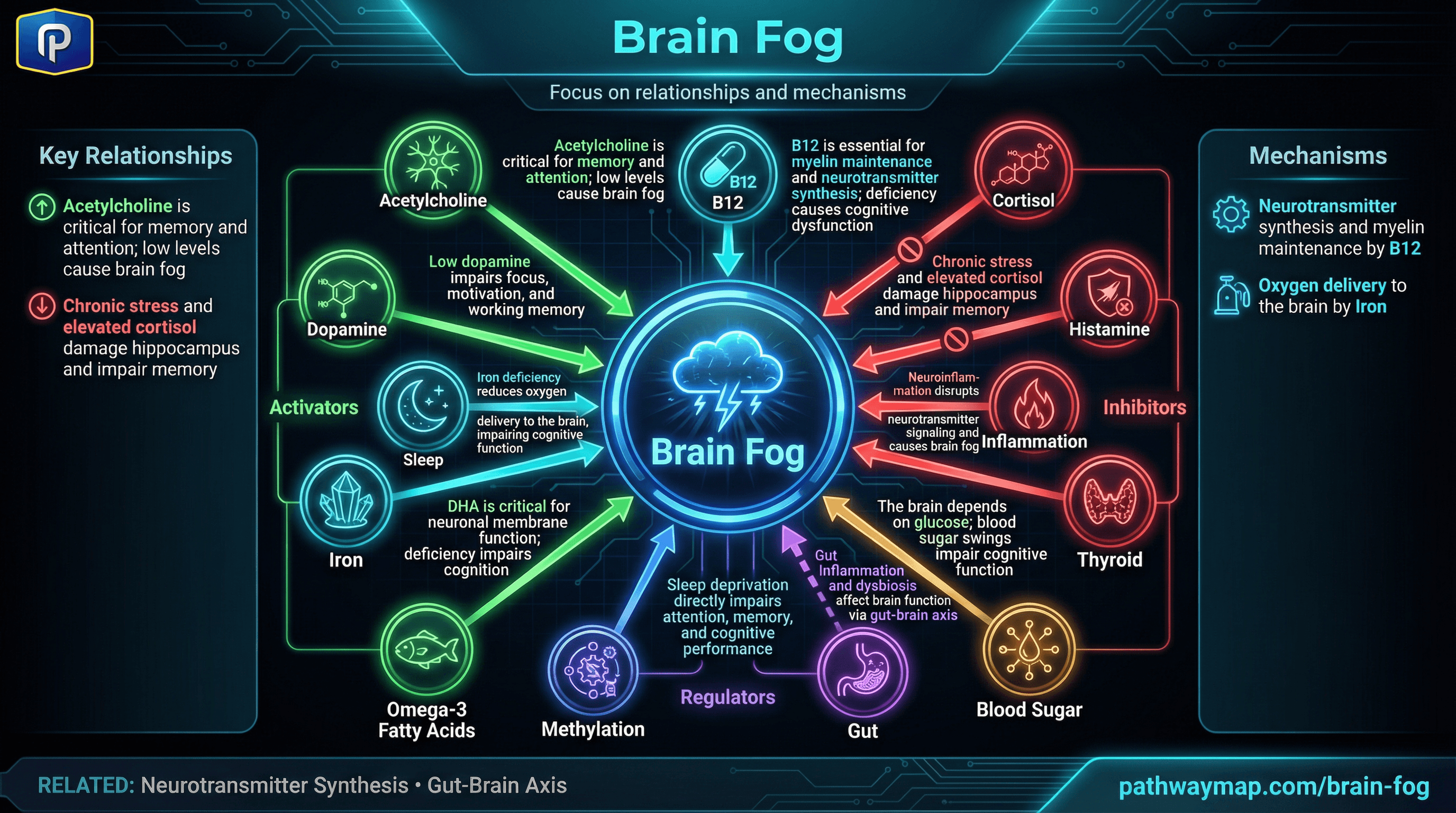 Brain fog causes