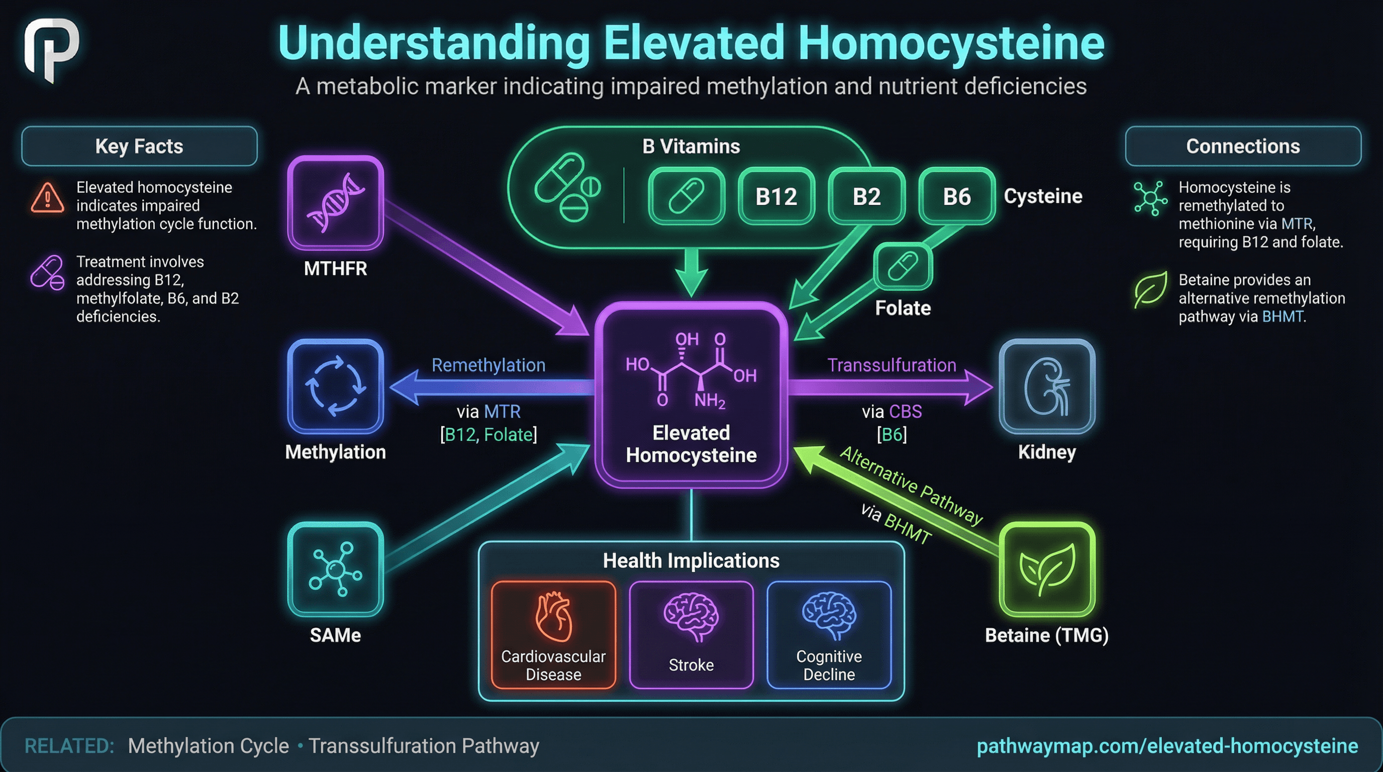Elevated Homocysteine