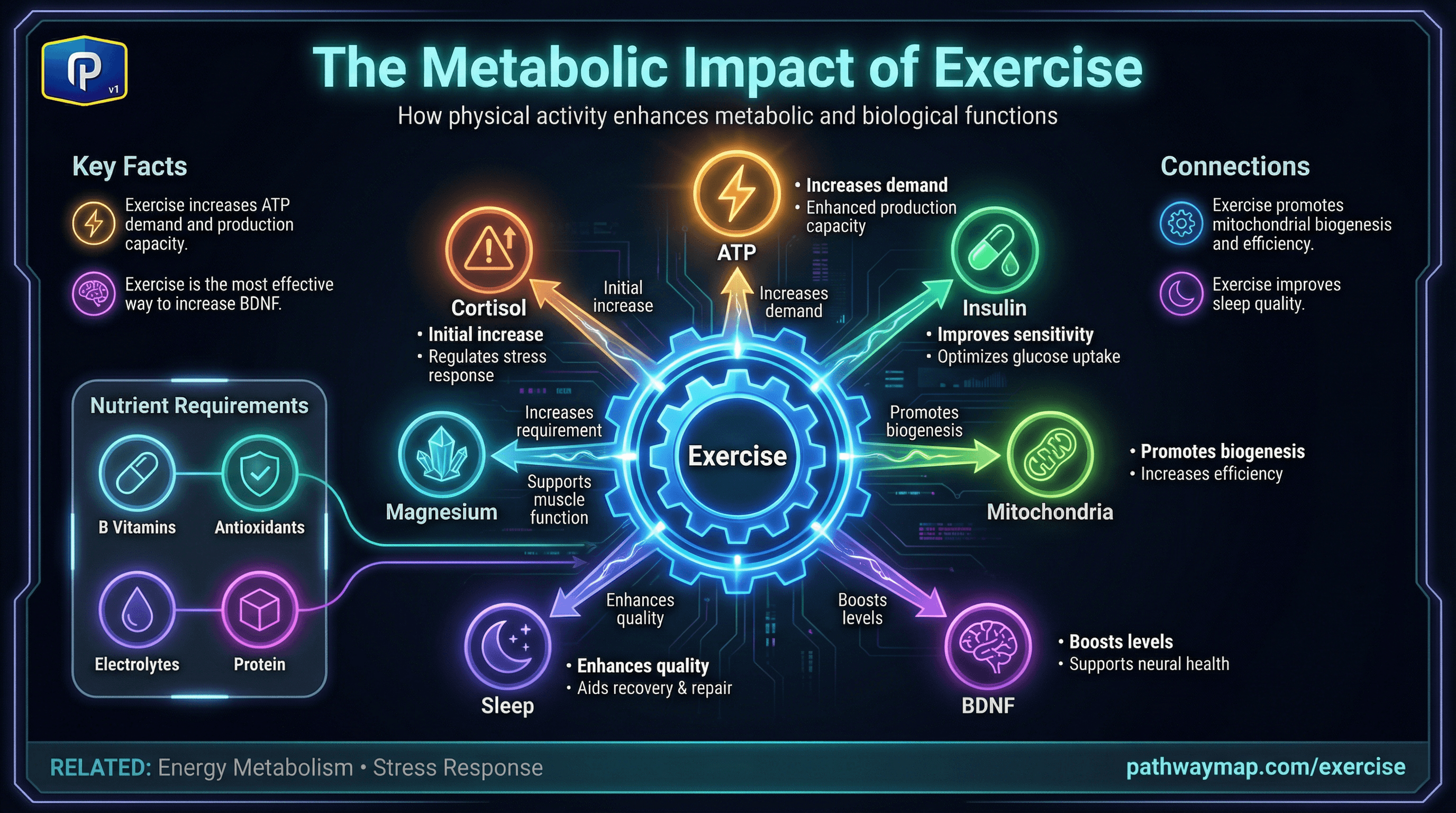 Exercise benefits and pathways