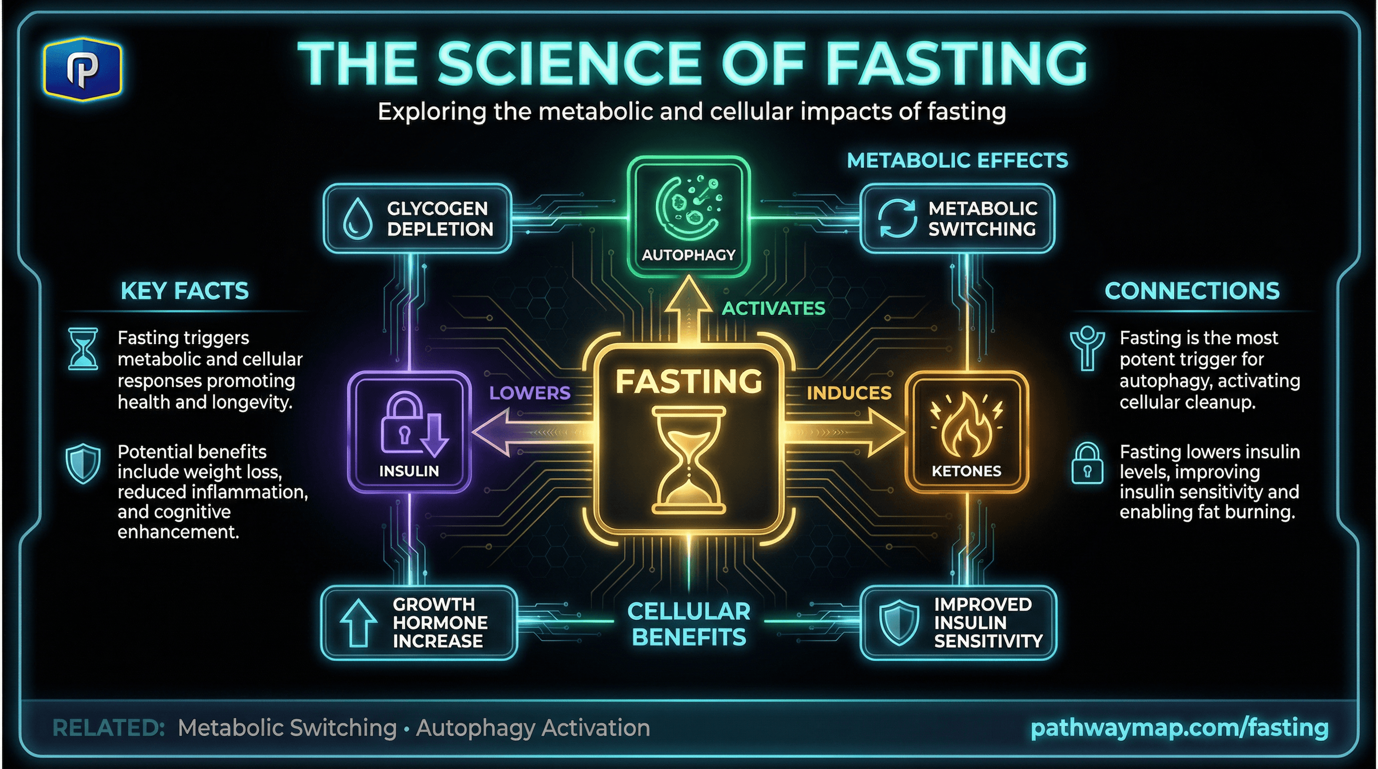 Fasting pathways and metabolic switches