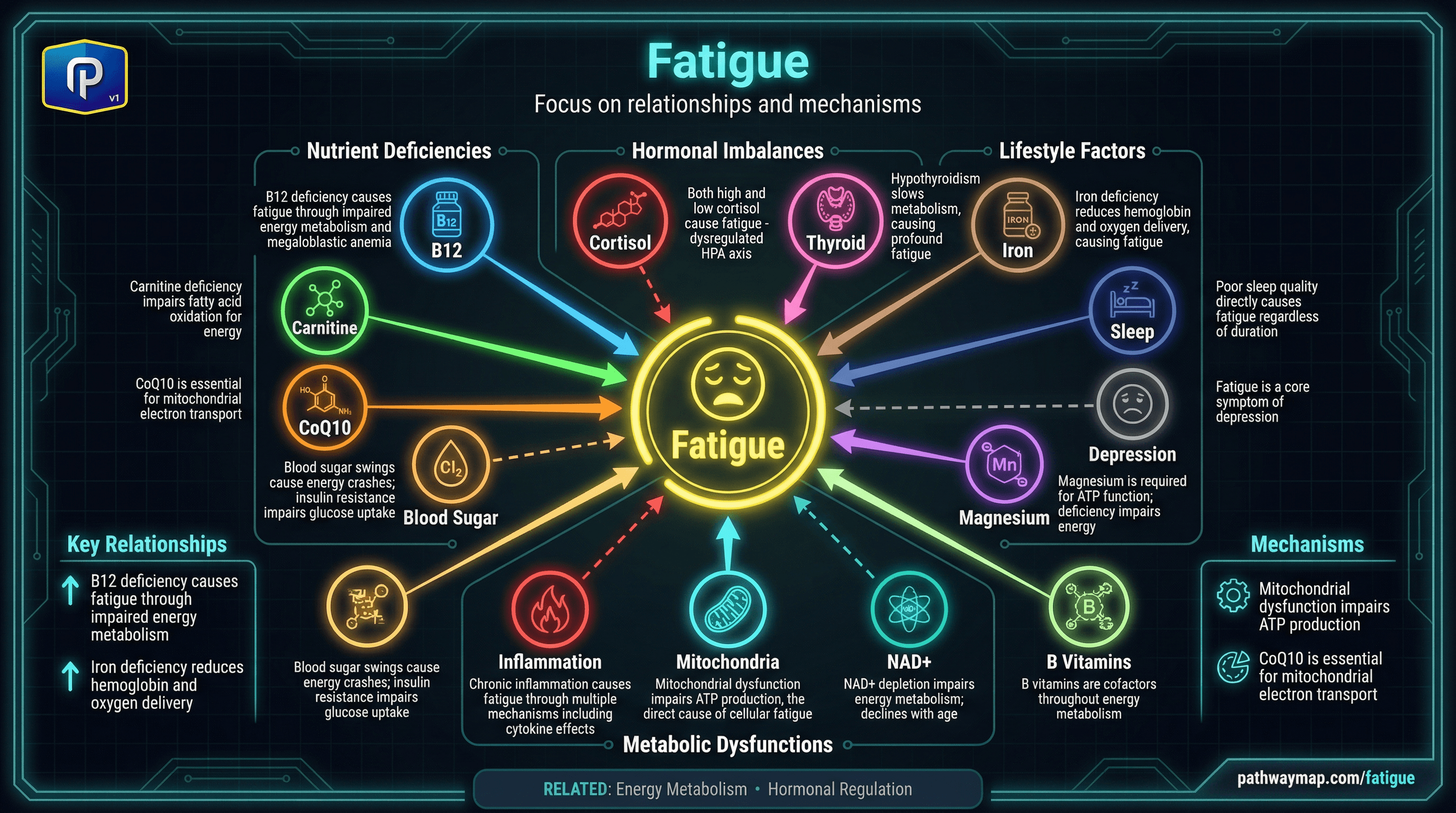 Fatigue