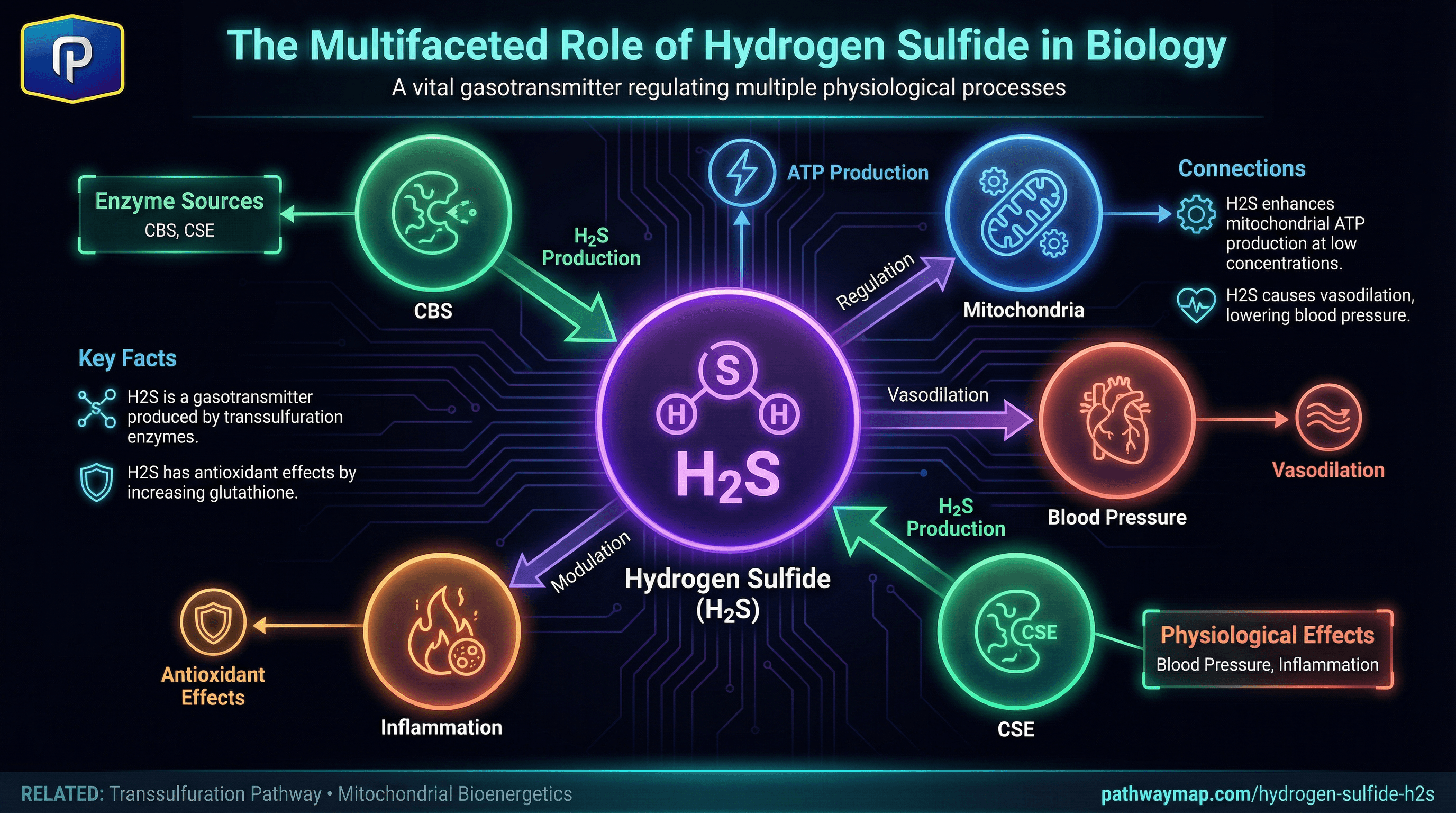 Hydrogen Sulfide (H2S)