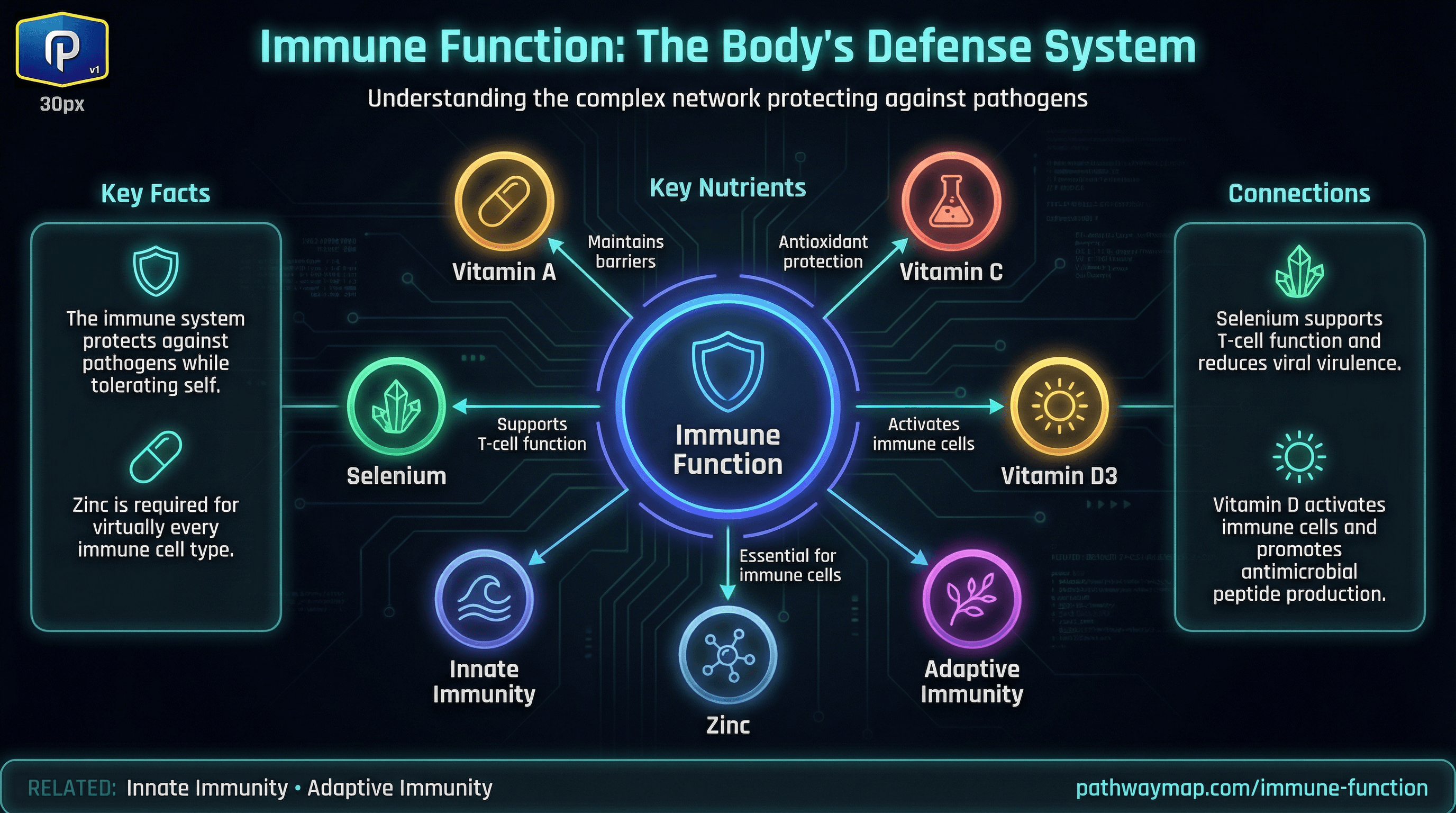 Immune Function