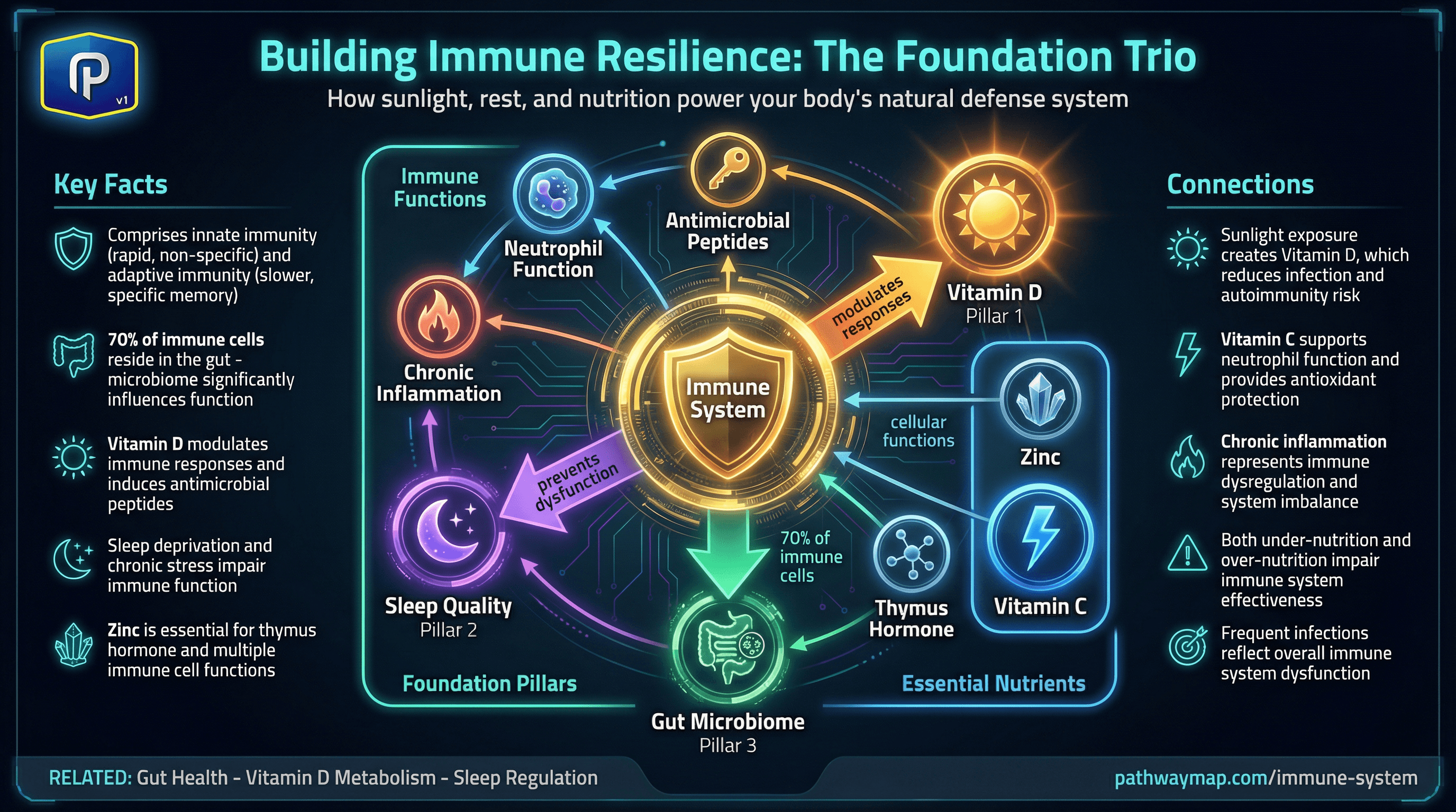 Immune system components
