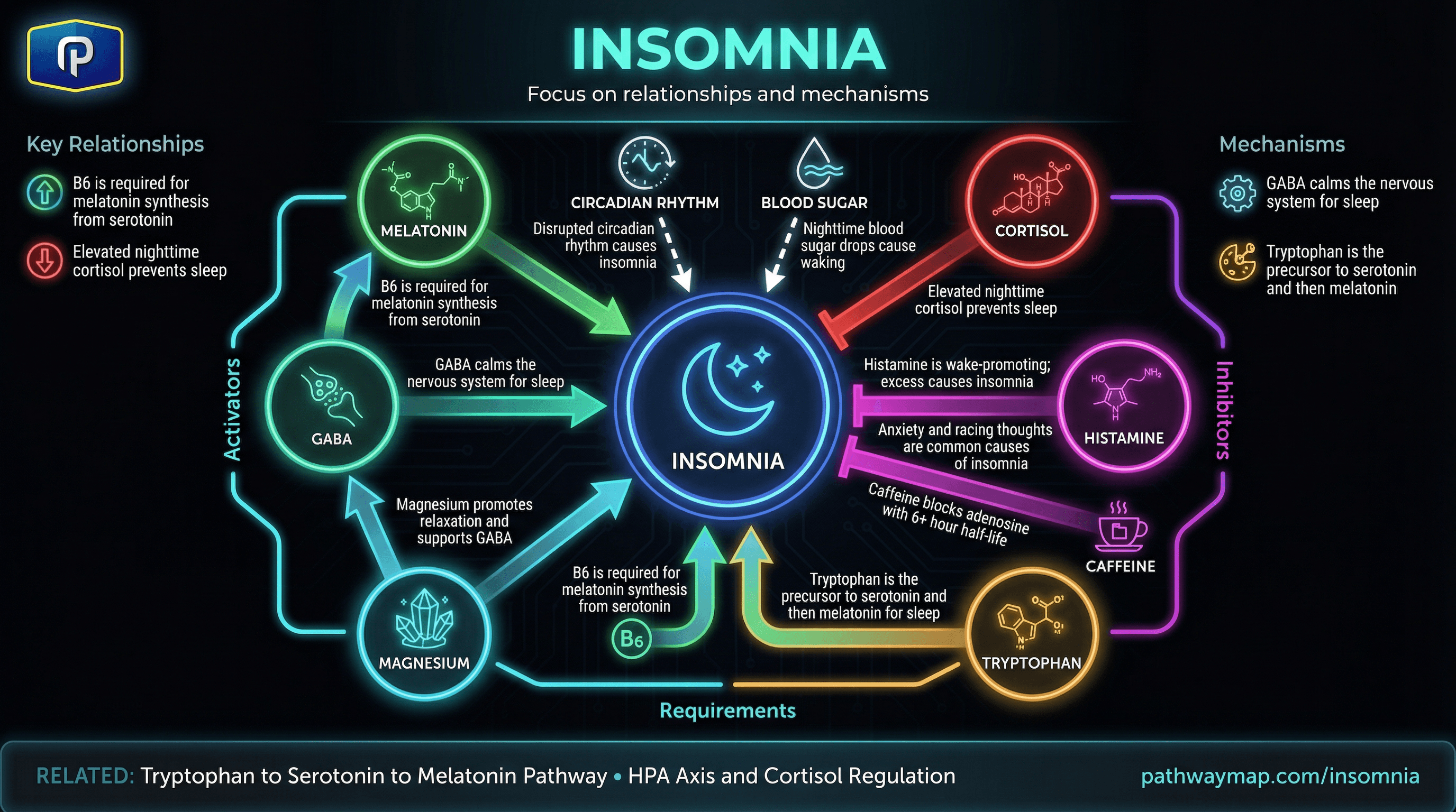 Insomnia causes and pathways