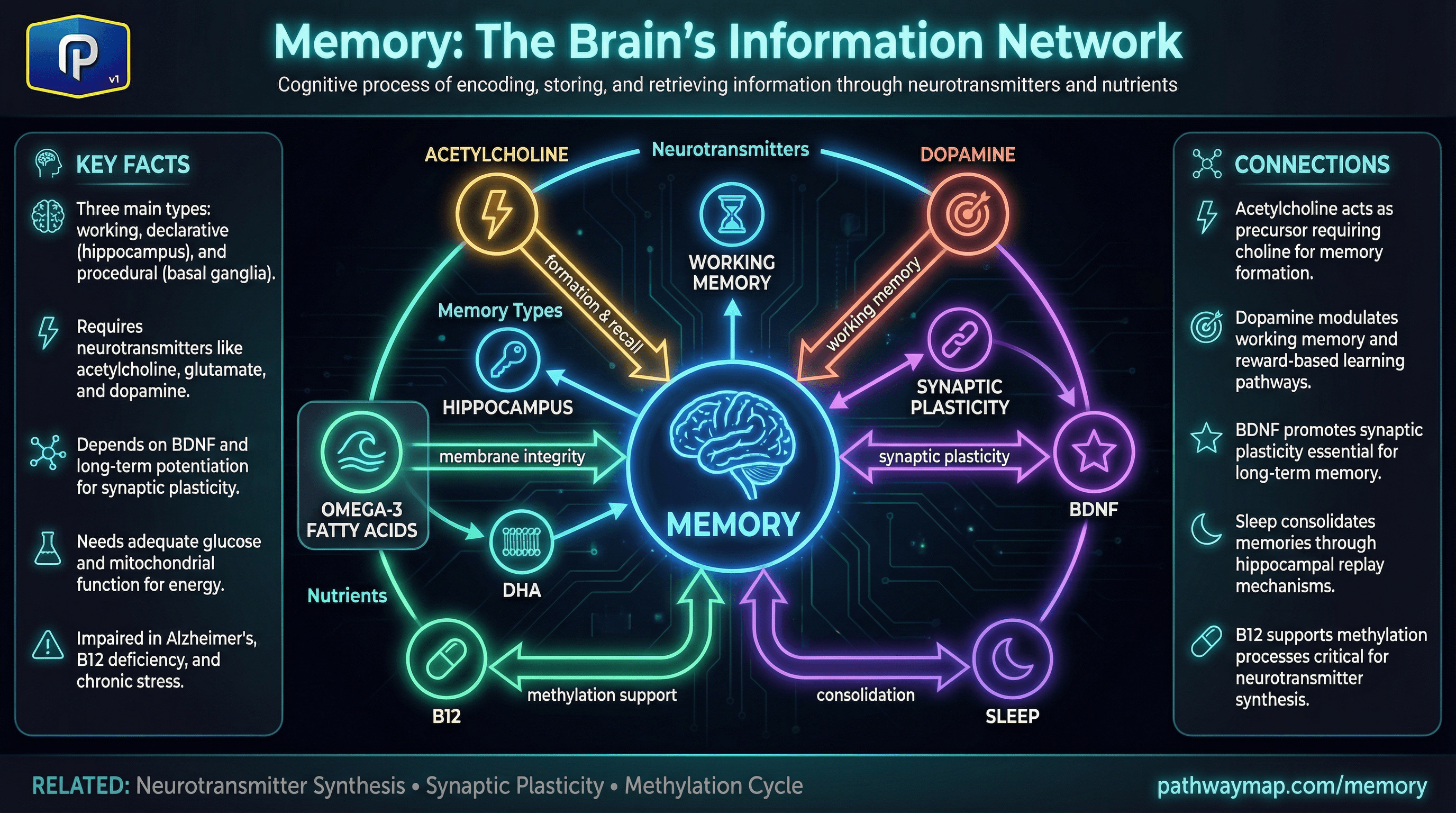 Memory factors