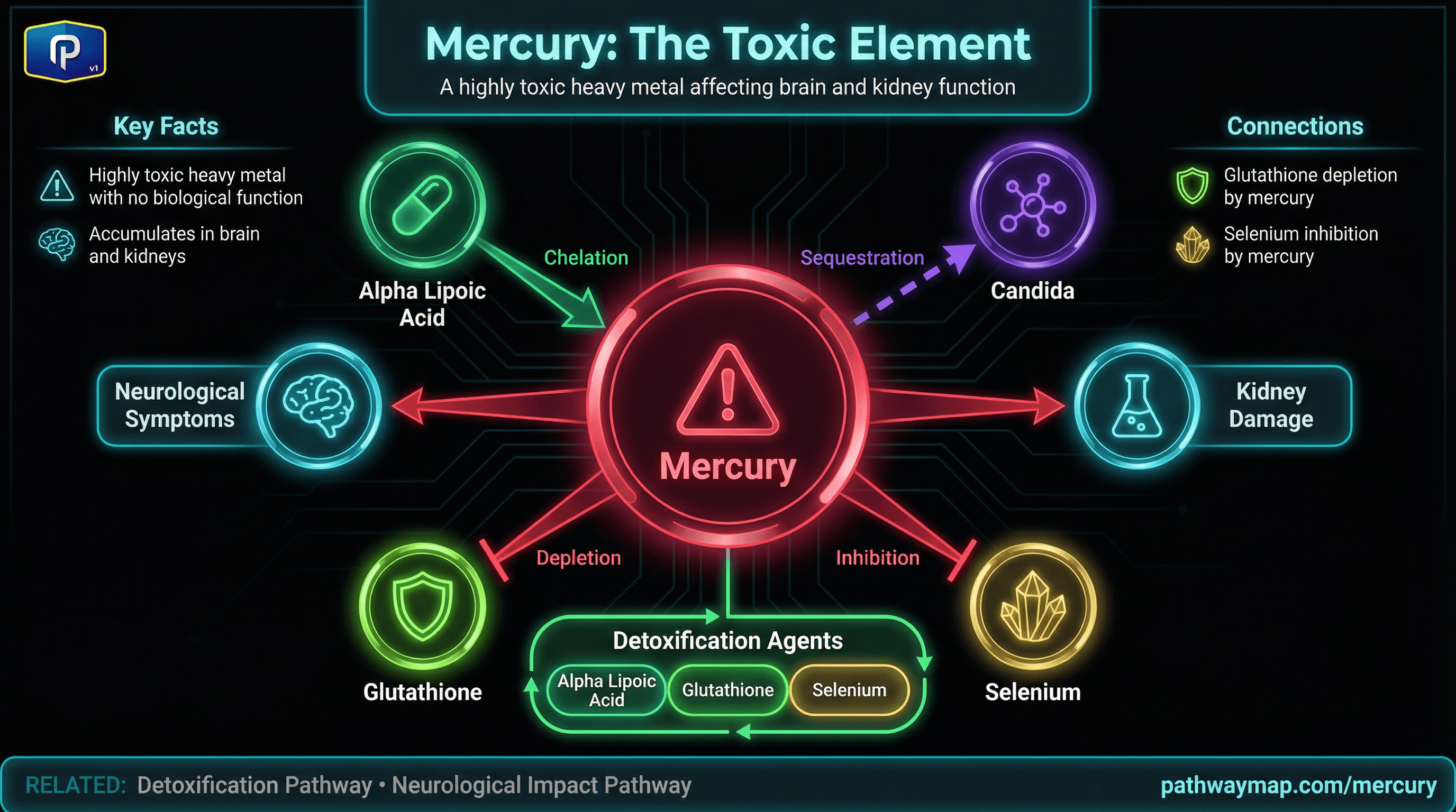 mercury pathway diagram