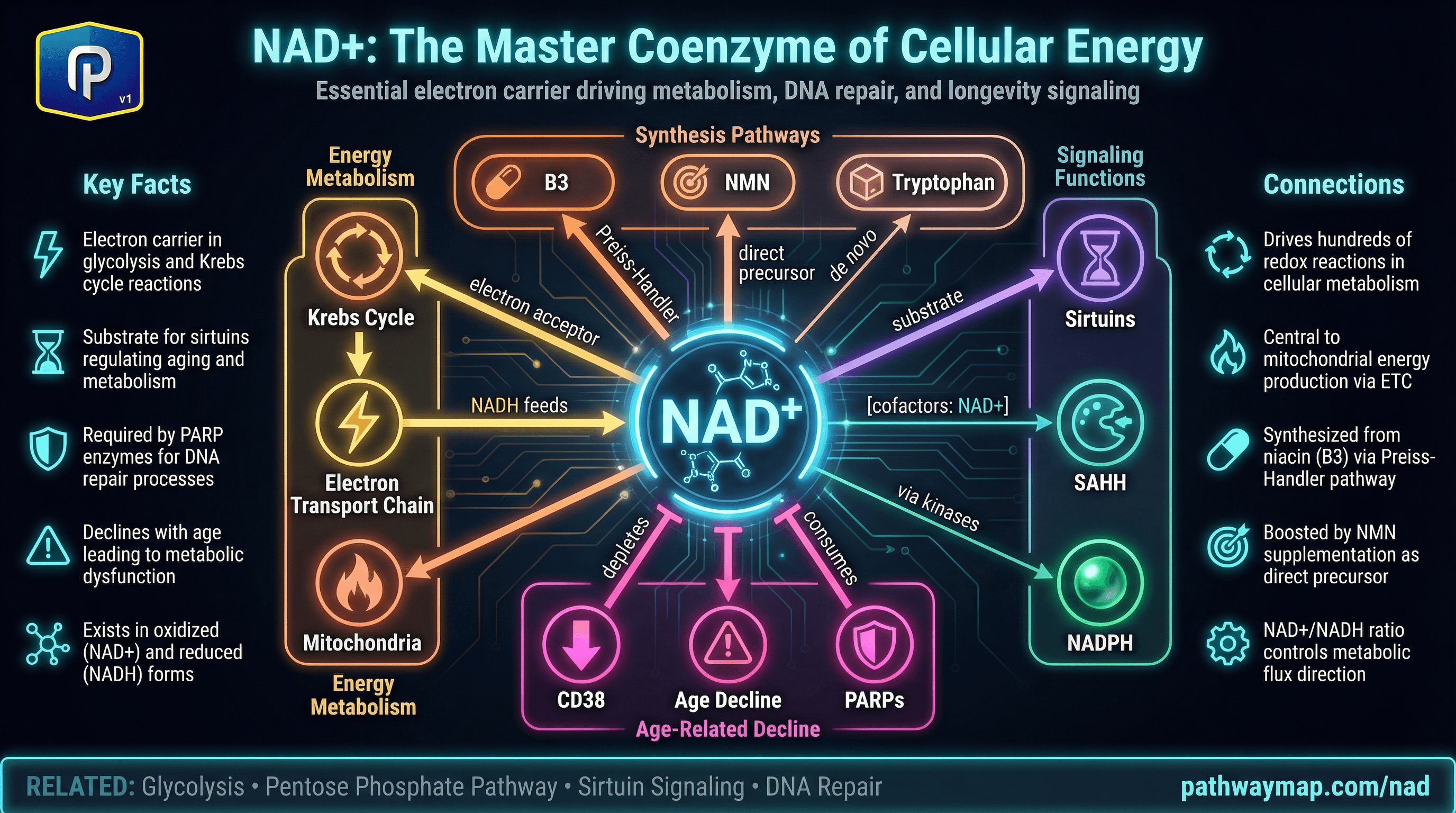 NAD+