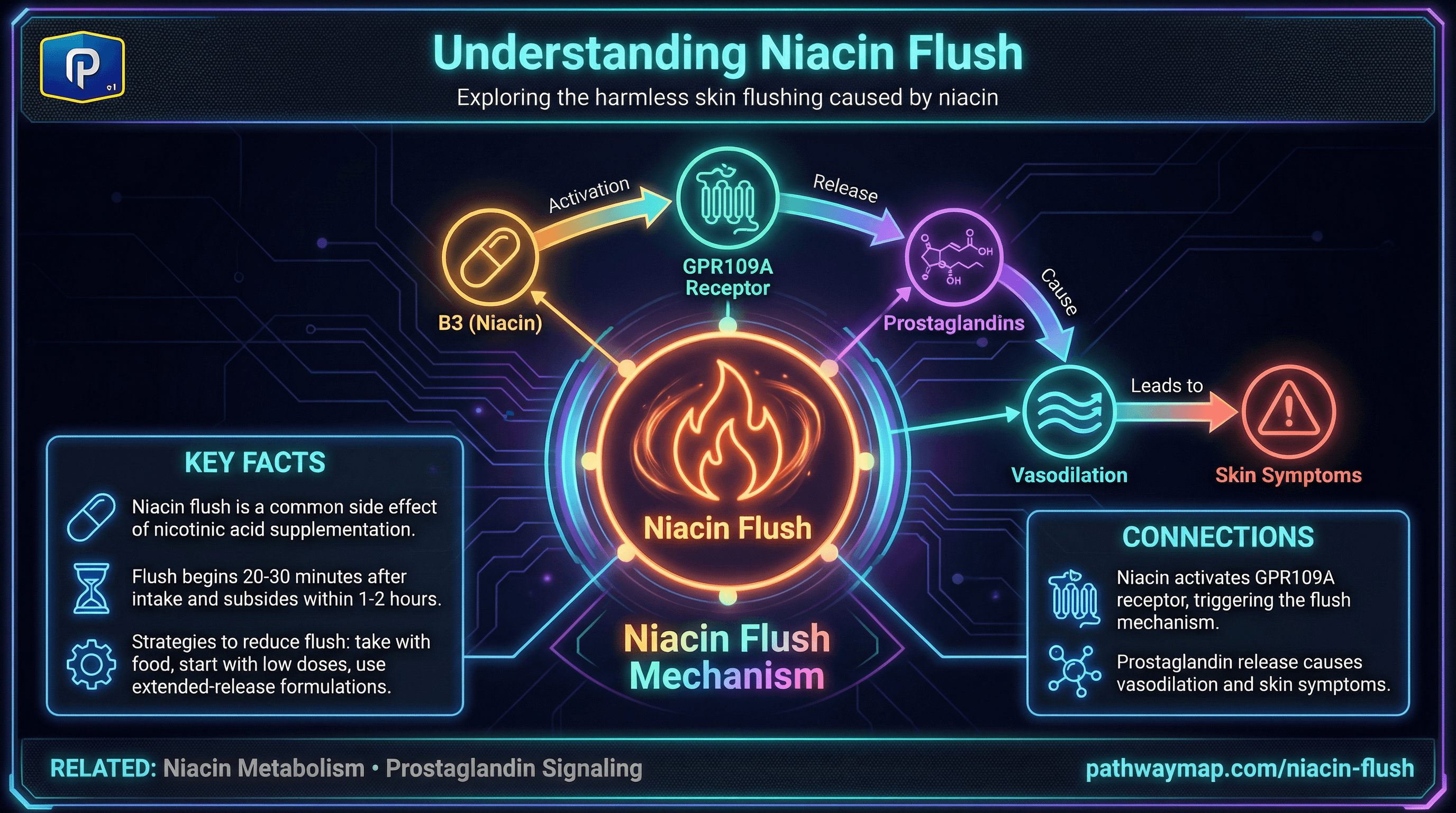 Niacin Flush
