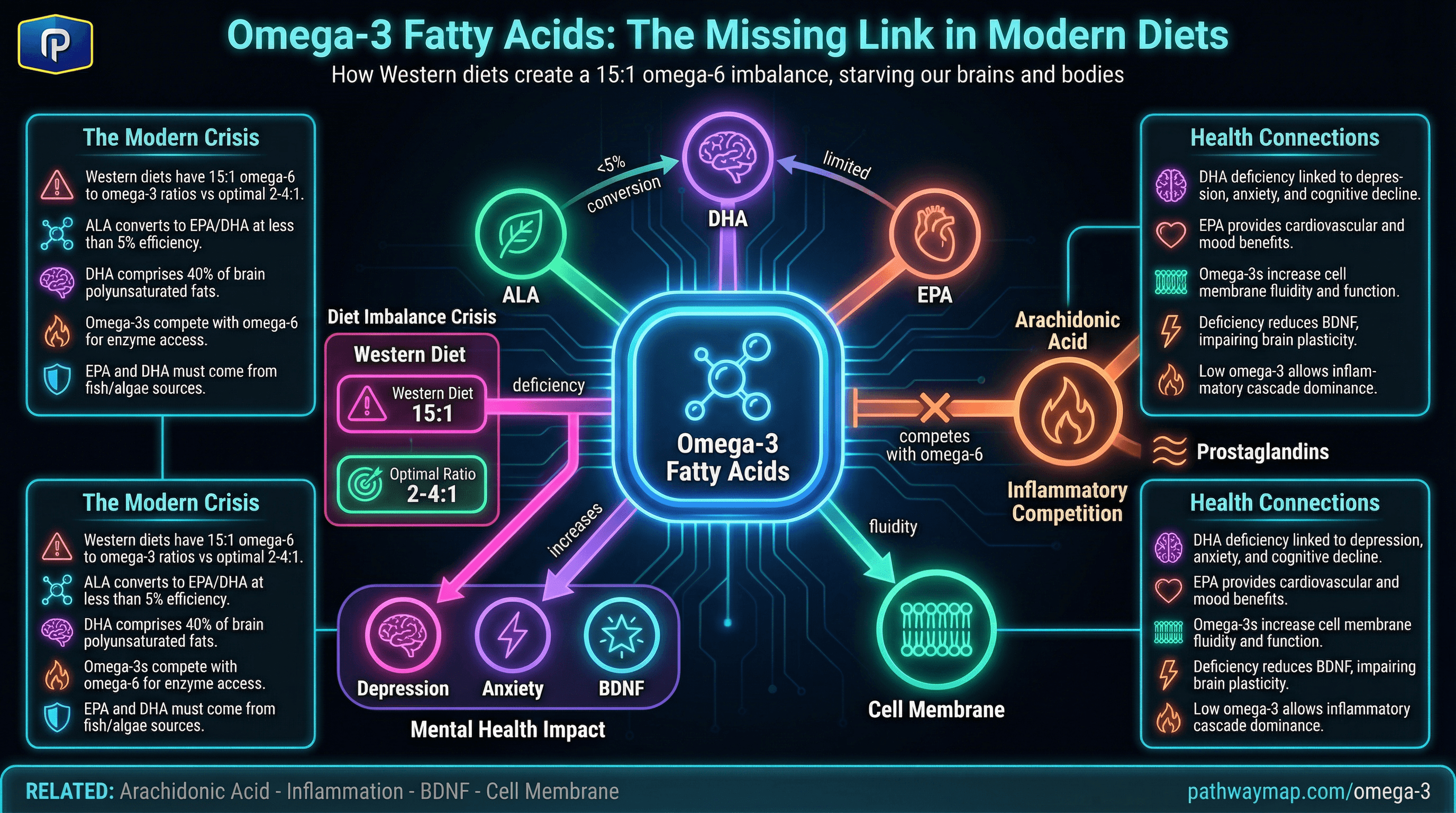 Omega-3 metabolism and functions