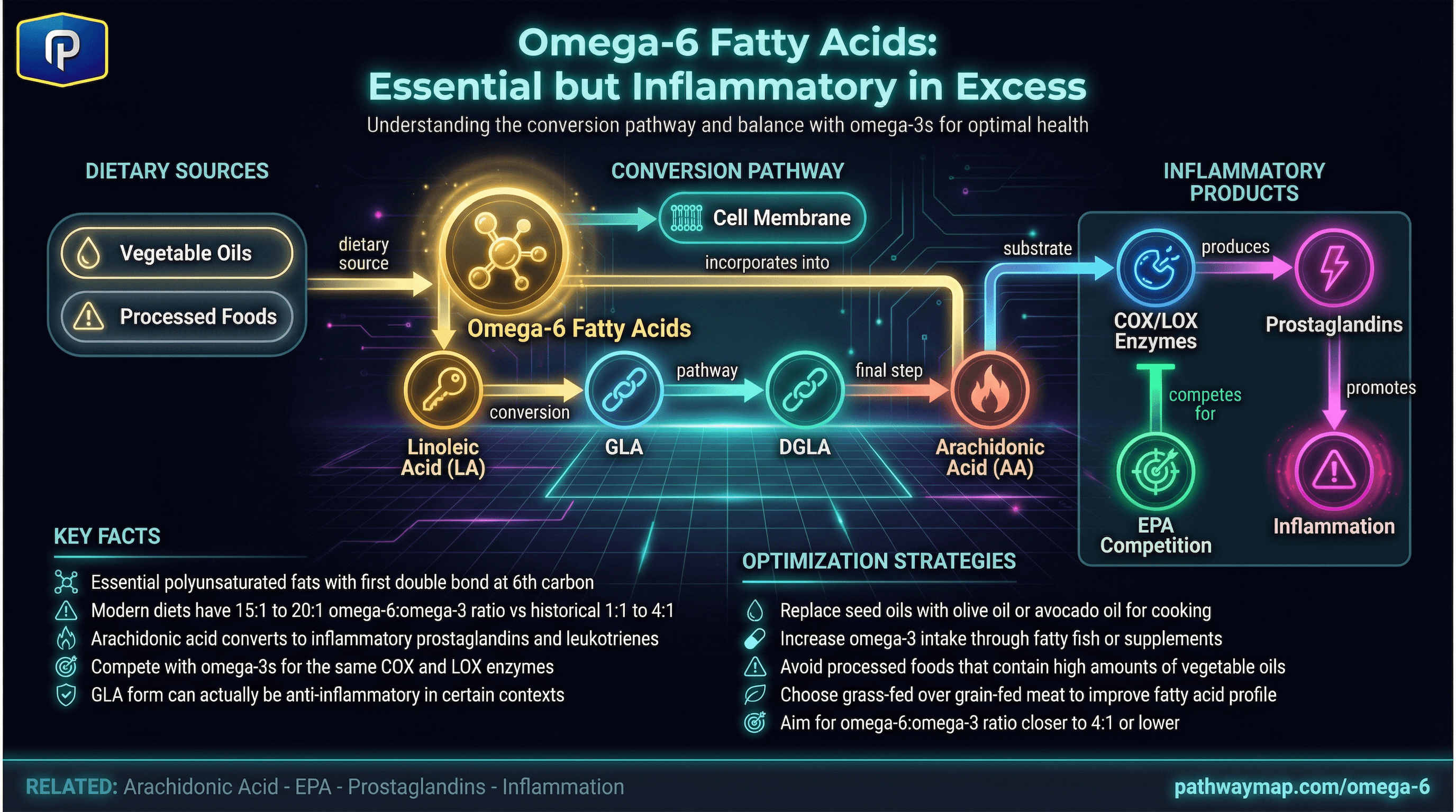 Omega-6 fatty acid metabolism