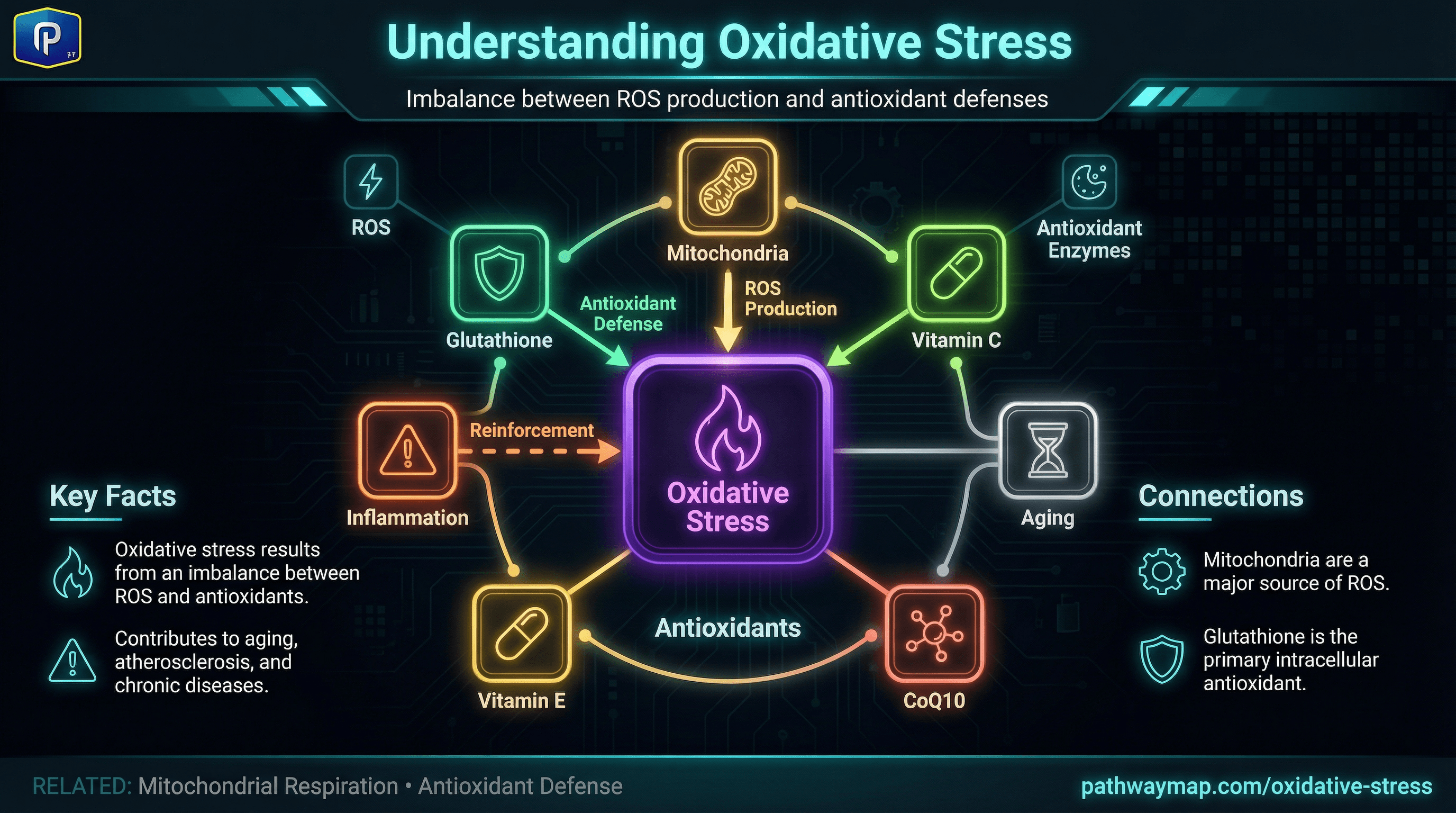 Oxidative stress and antioxidant balance
