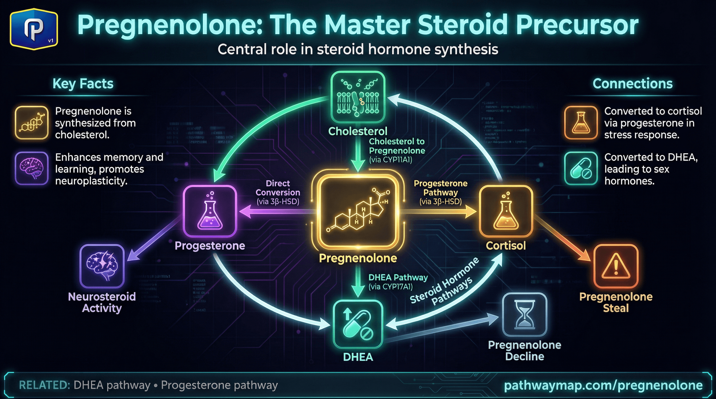 Pregnenolone as the master steroid precursor