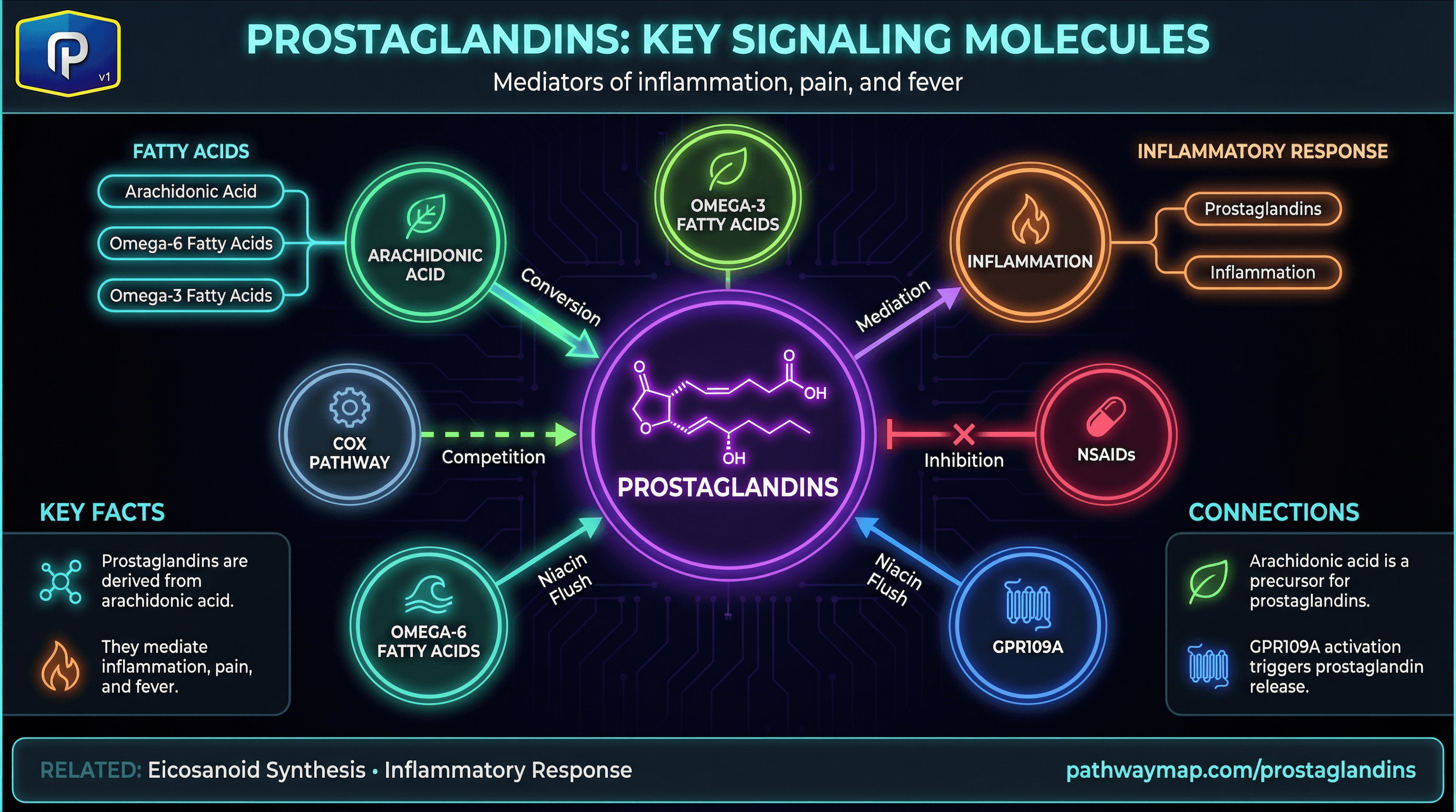 Prostaglandin pathways