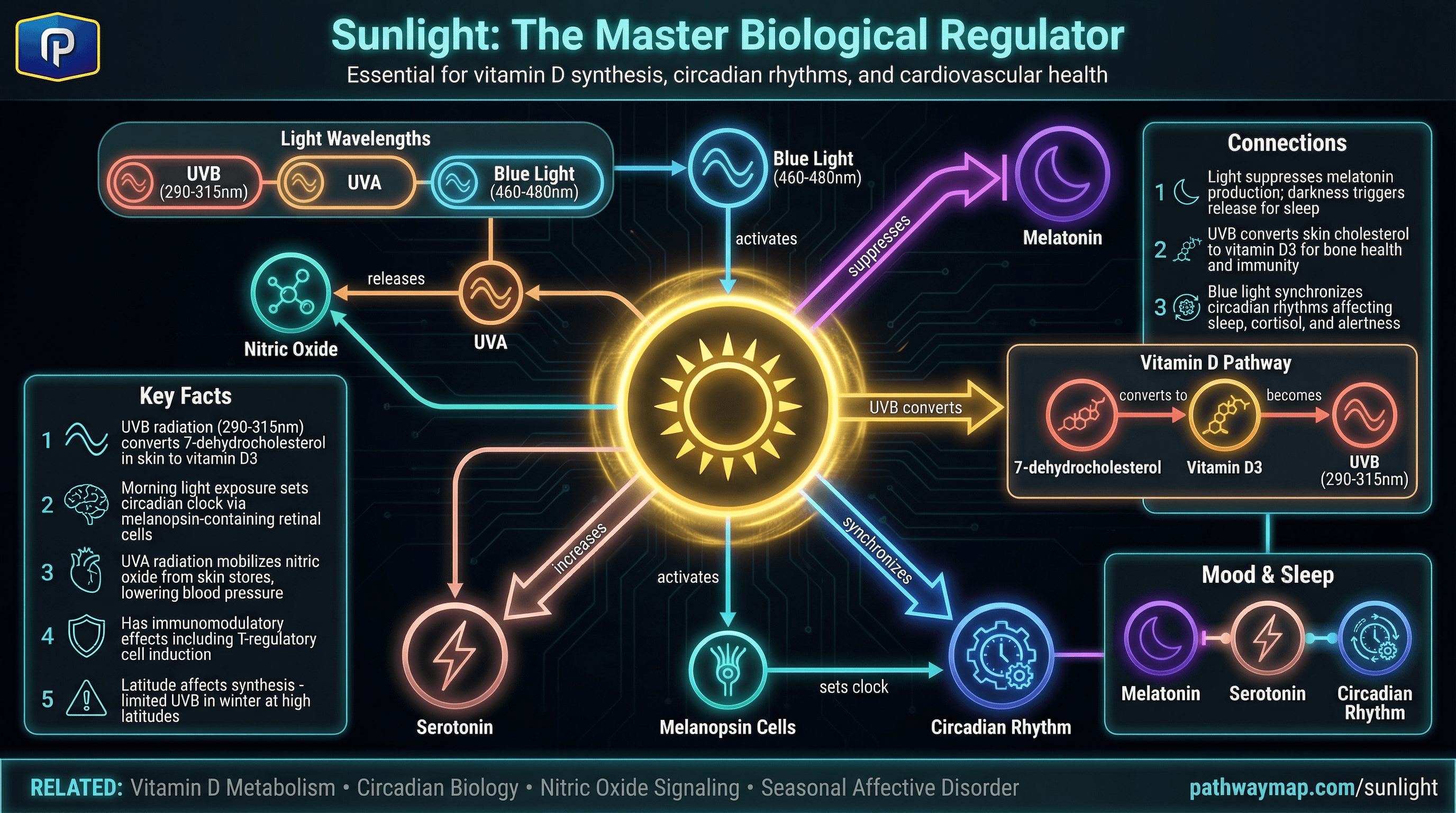 sunlight pathway diagram