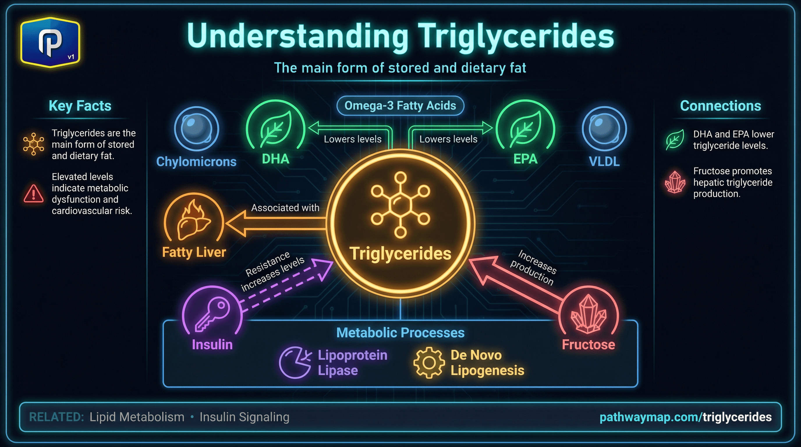 Triglycerides