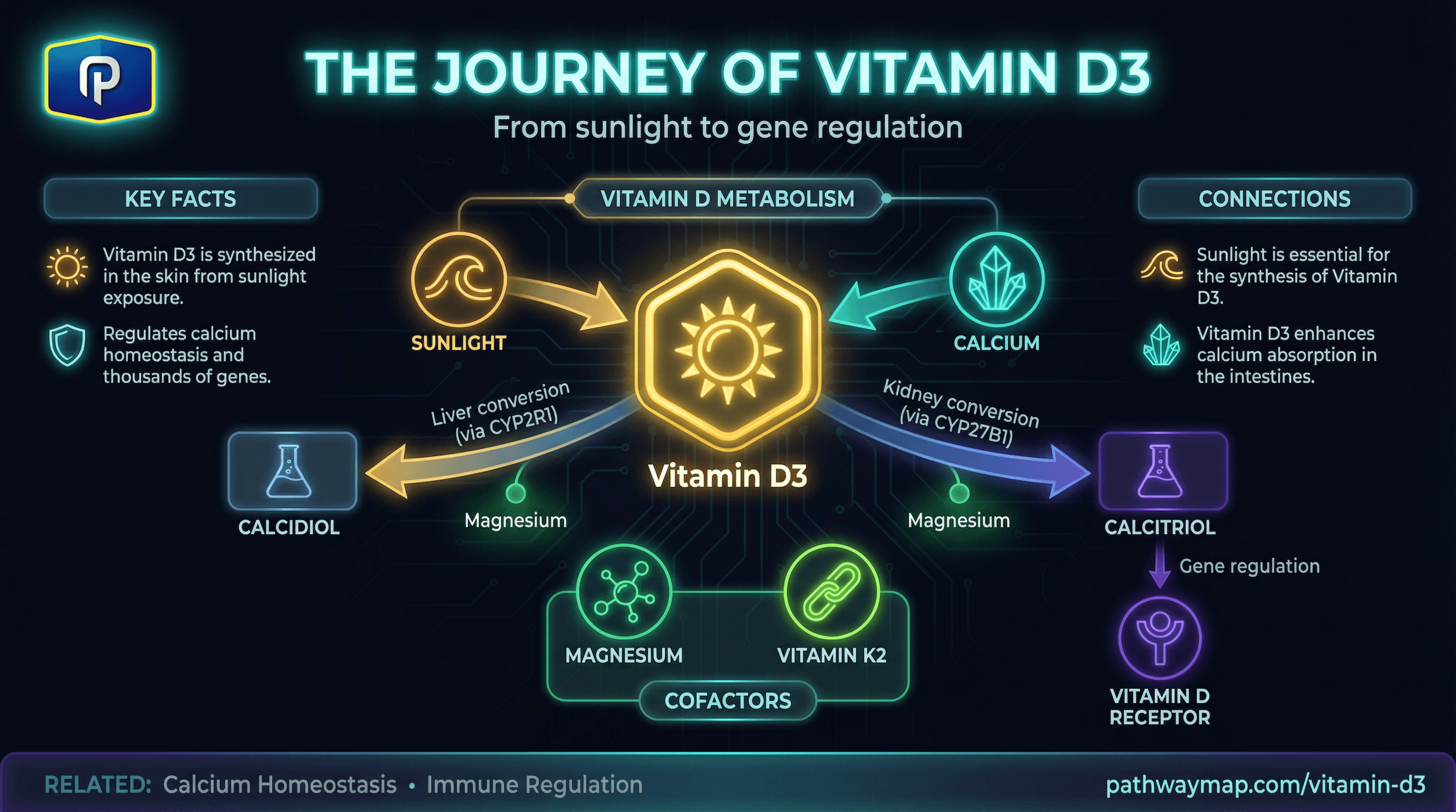 Vitamin D3