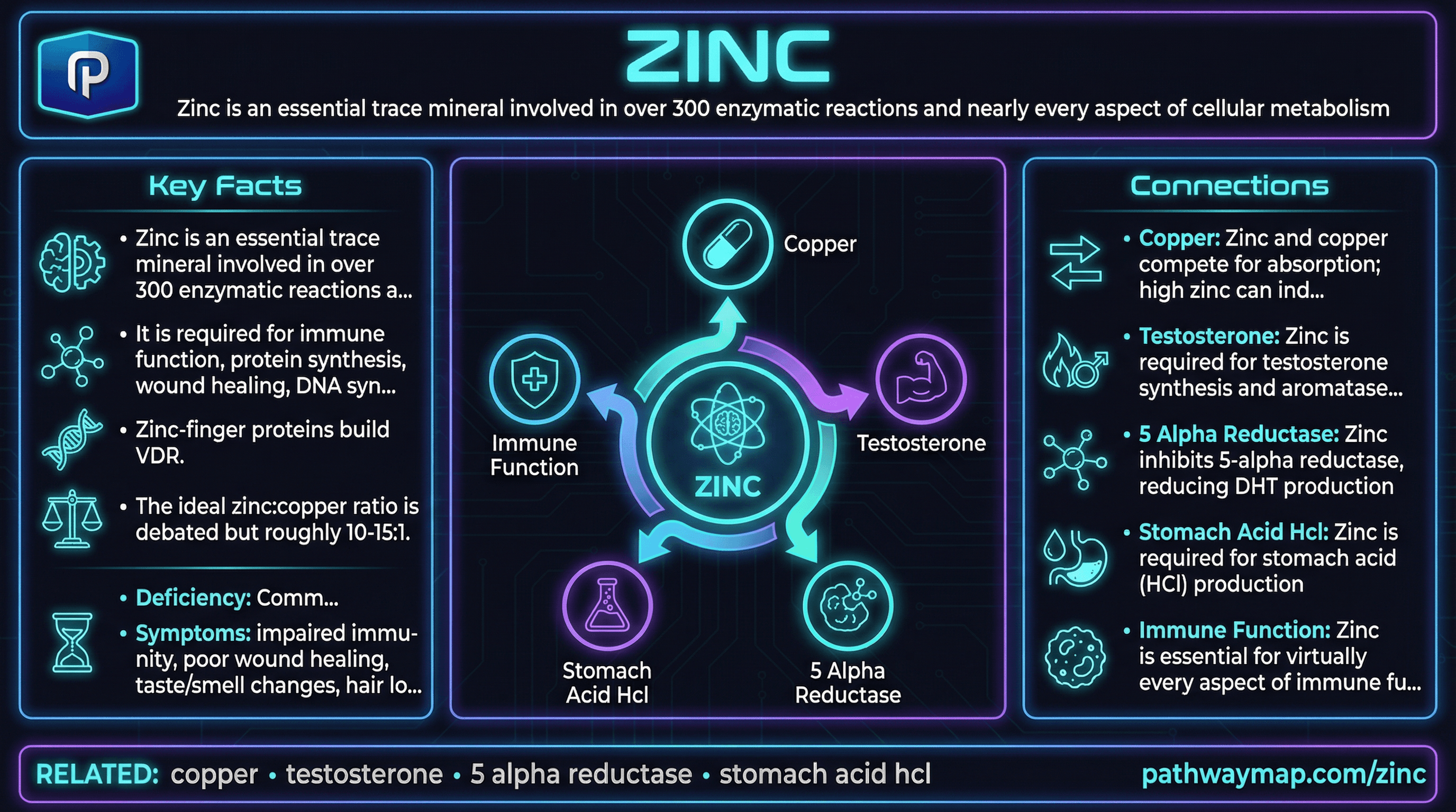 Zinc pathway diagram