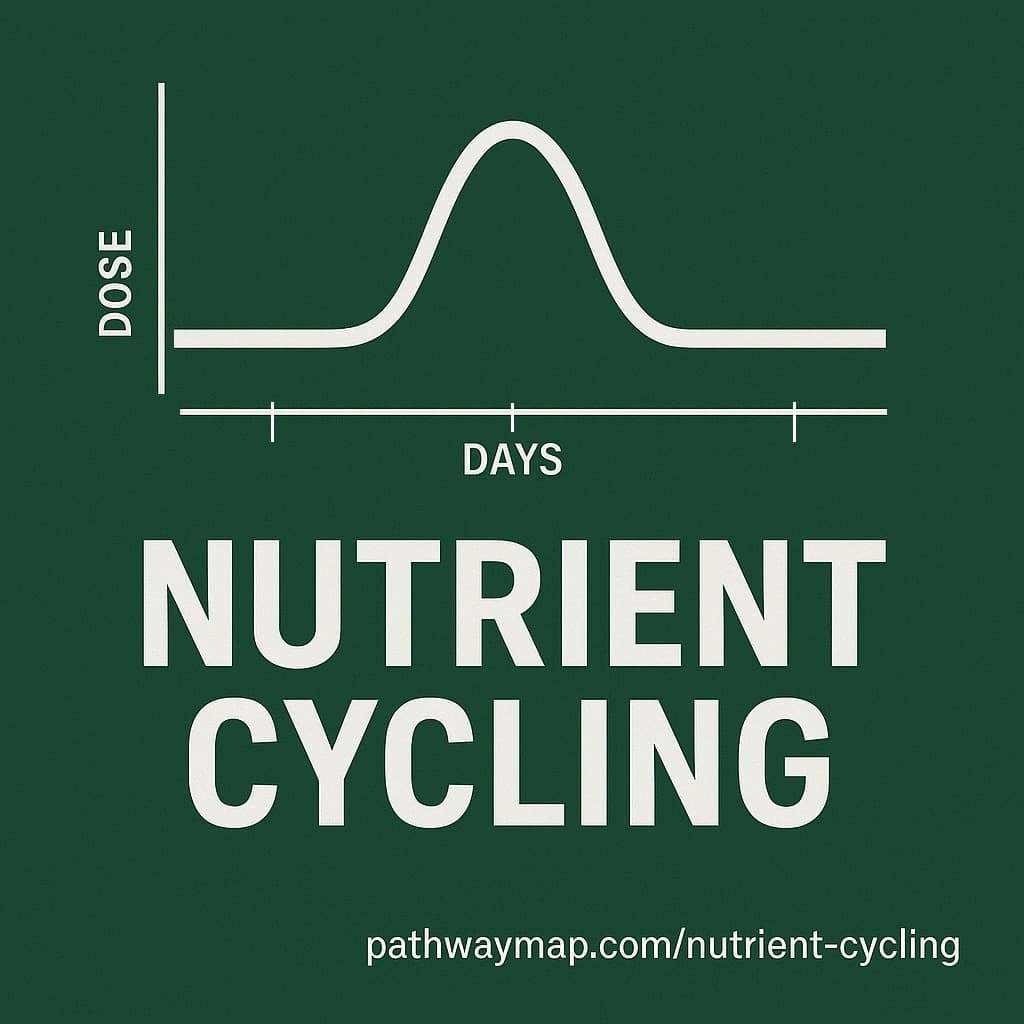 Nutrient Cycling